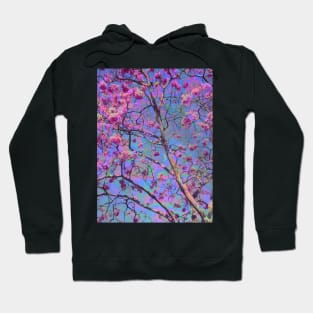 Impetiginosus Hoodie